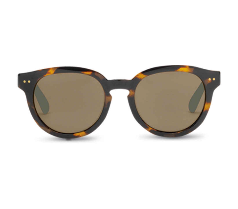 Bellevue Tortoise Polarized