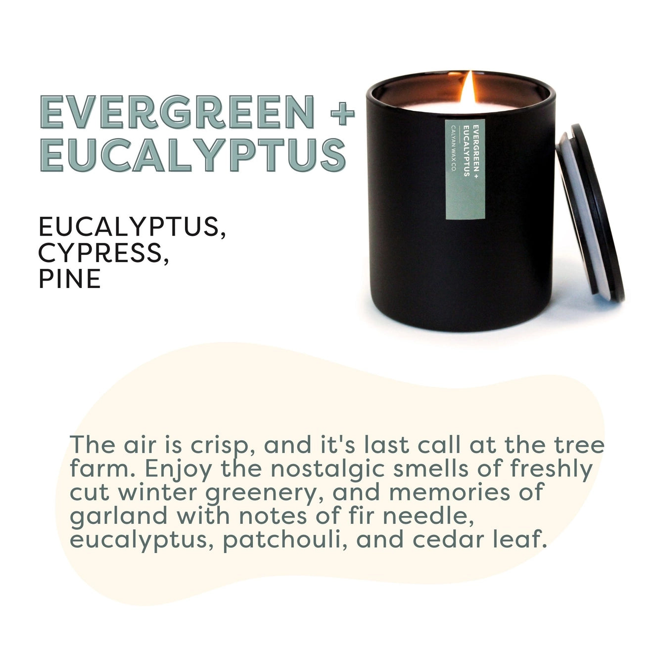 Evergreen + Eucalyptus - Matte Black Tumbler Soy Candle