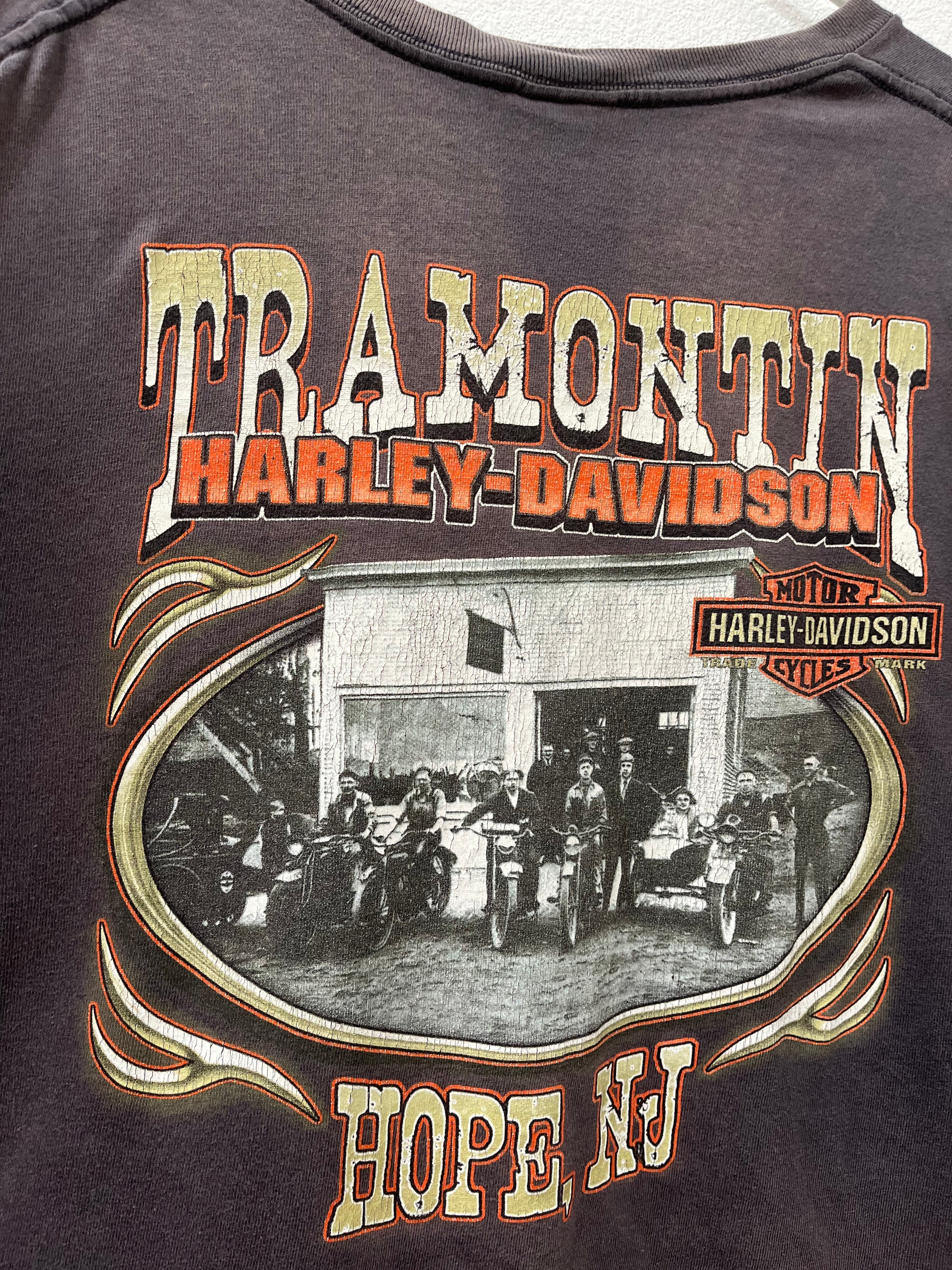 Vintage Harley Davidson Tee