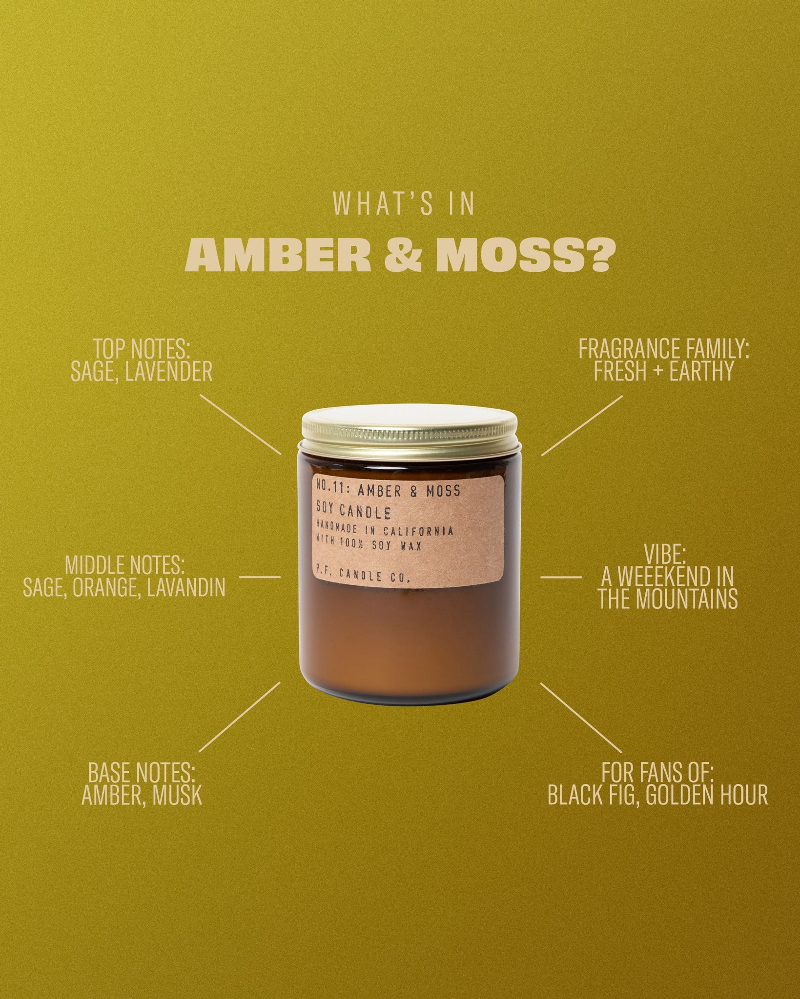 P.F. Candle - Amber & Moss Soy Mini Candle