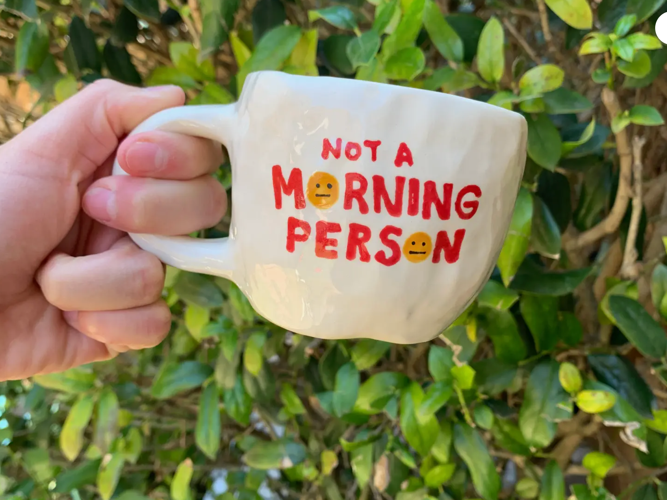 Not A Morning Person Mug
